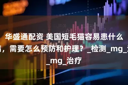 华盛通配资 美国短毛猫容易患什么疾病，需要怎么预防和护理？_检测_mg_治疗