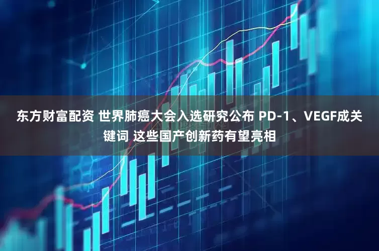 东方财富配资 世界肺癌大会入选研究公布 PD-1、VEGF成关键词 这些国产创新药有望亮相