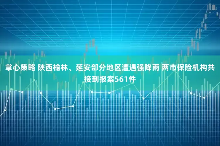 掌心策略 陕西榆林、延安部分地区遭遇强降雨 两市保险机构共接到报案561件