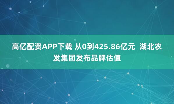 高亿配资APP下载 从0到425.86亿元  湖北农发集团发布品牌估值