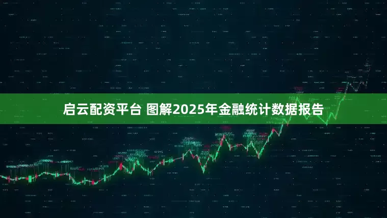 启云配资平台 图解2025年金融统计数据报告